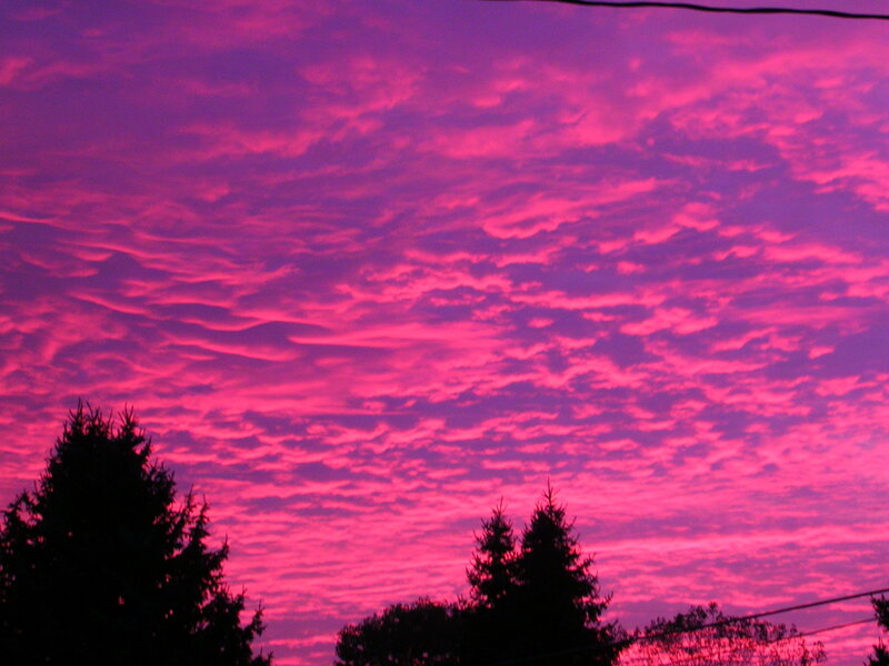 Pink Sky with Clouds — Purple
