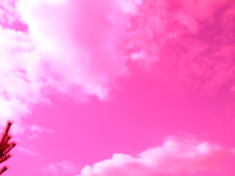 pink sky with clouds