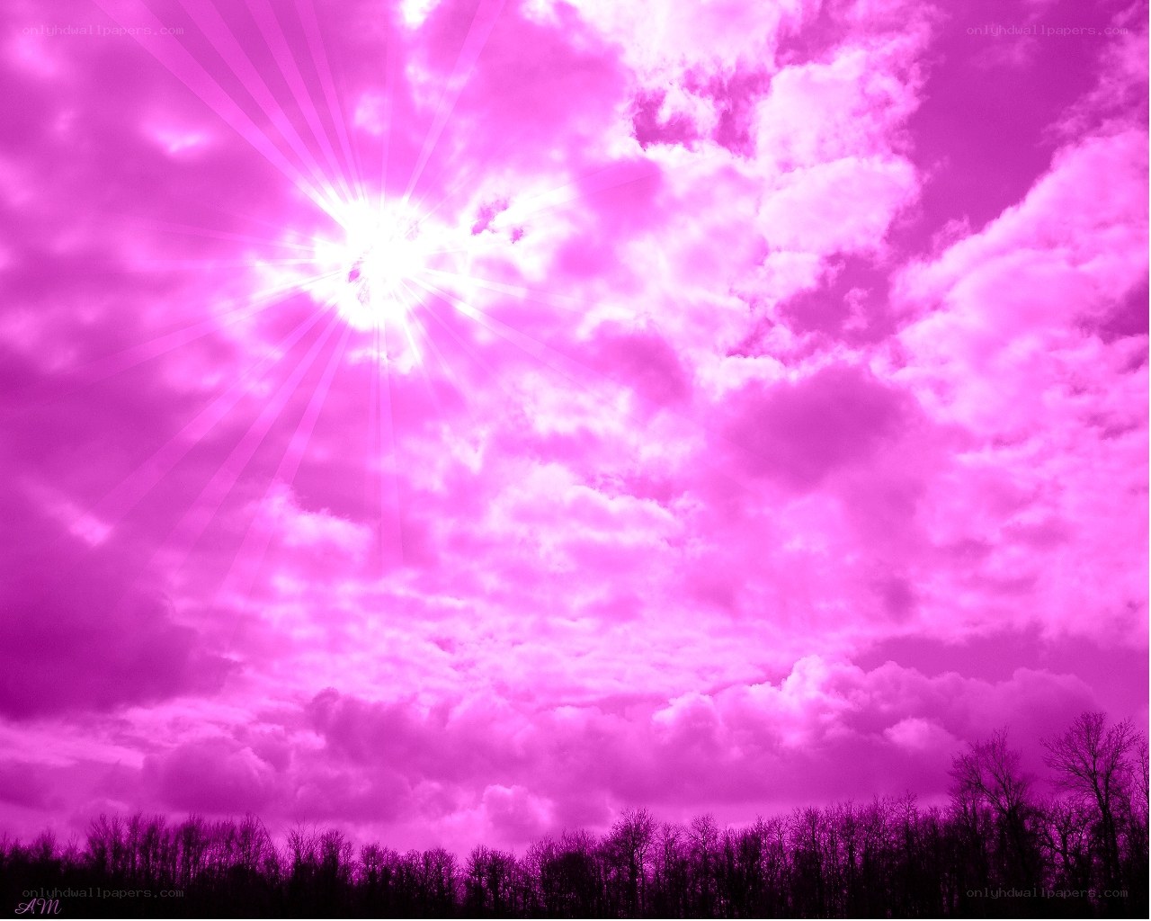 Pink sky with sunburst