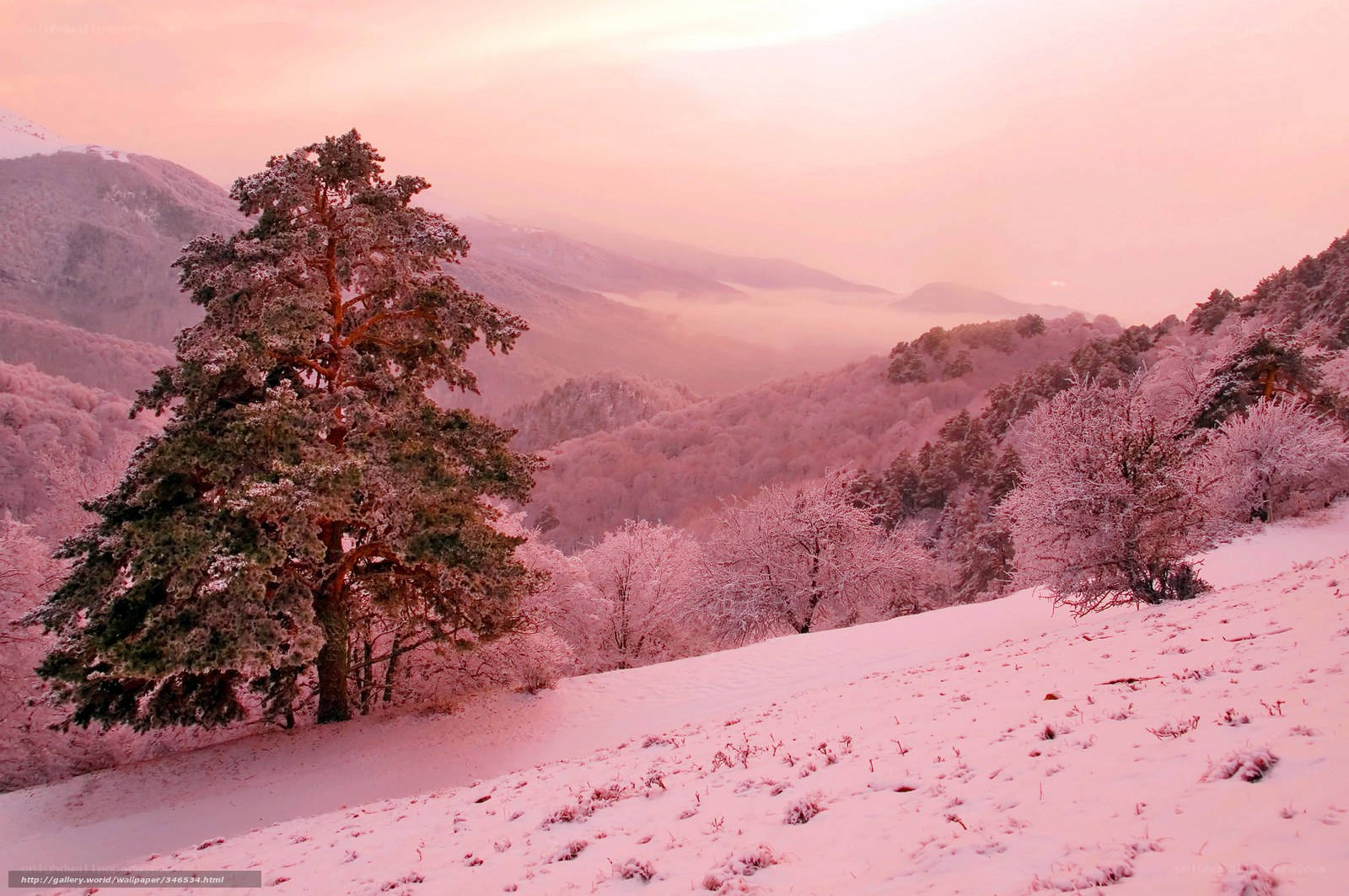 Pink snow-covered mountain landscape