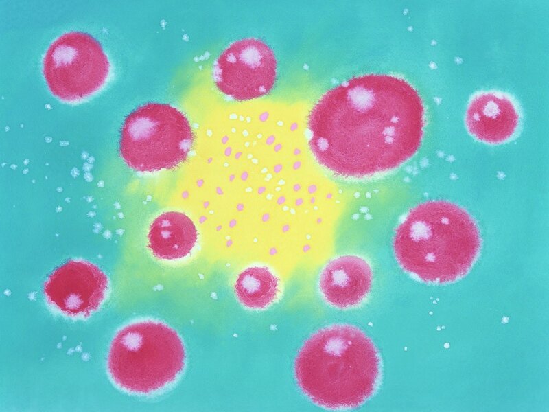 Pink Spheres on Teal