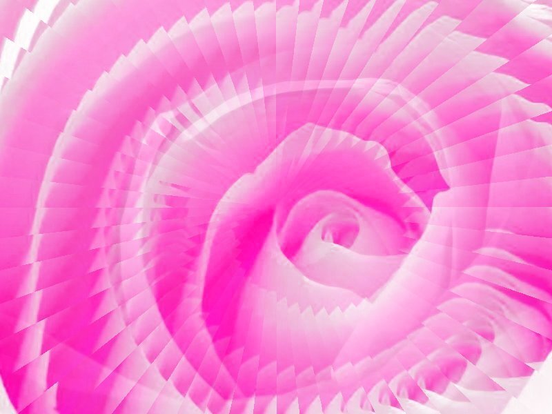 pink spiral abstract pattern