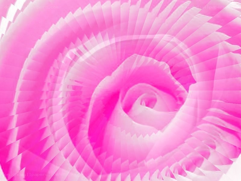 pink spiral abstract pattern