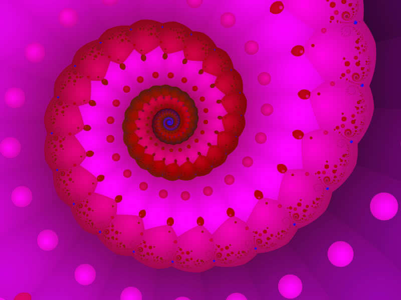 Pink Spiral Fractal