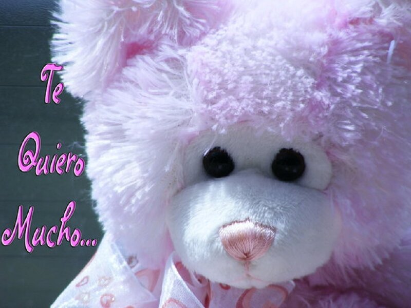Pink Stuffed Bear — Sentimental