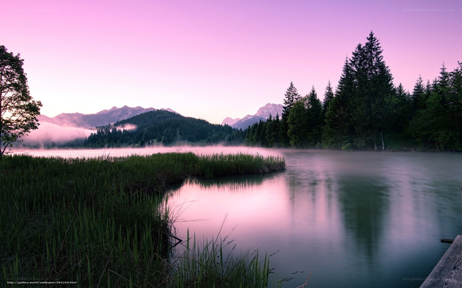 Pink sunrise over a misty lake