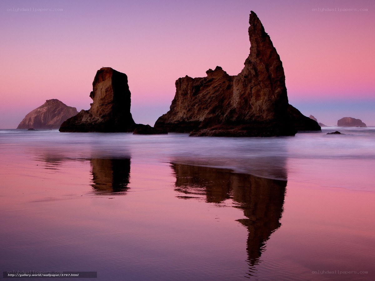Pink sunset at coastal rocks