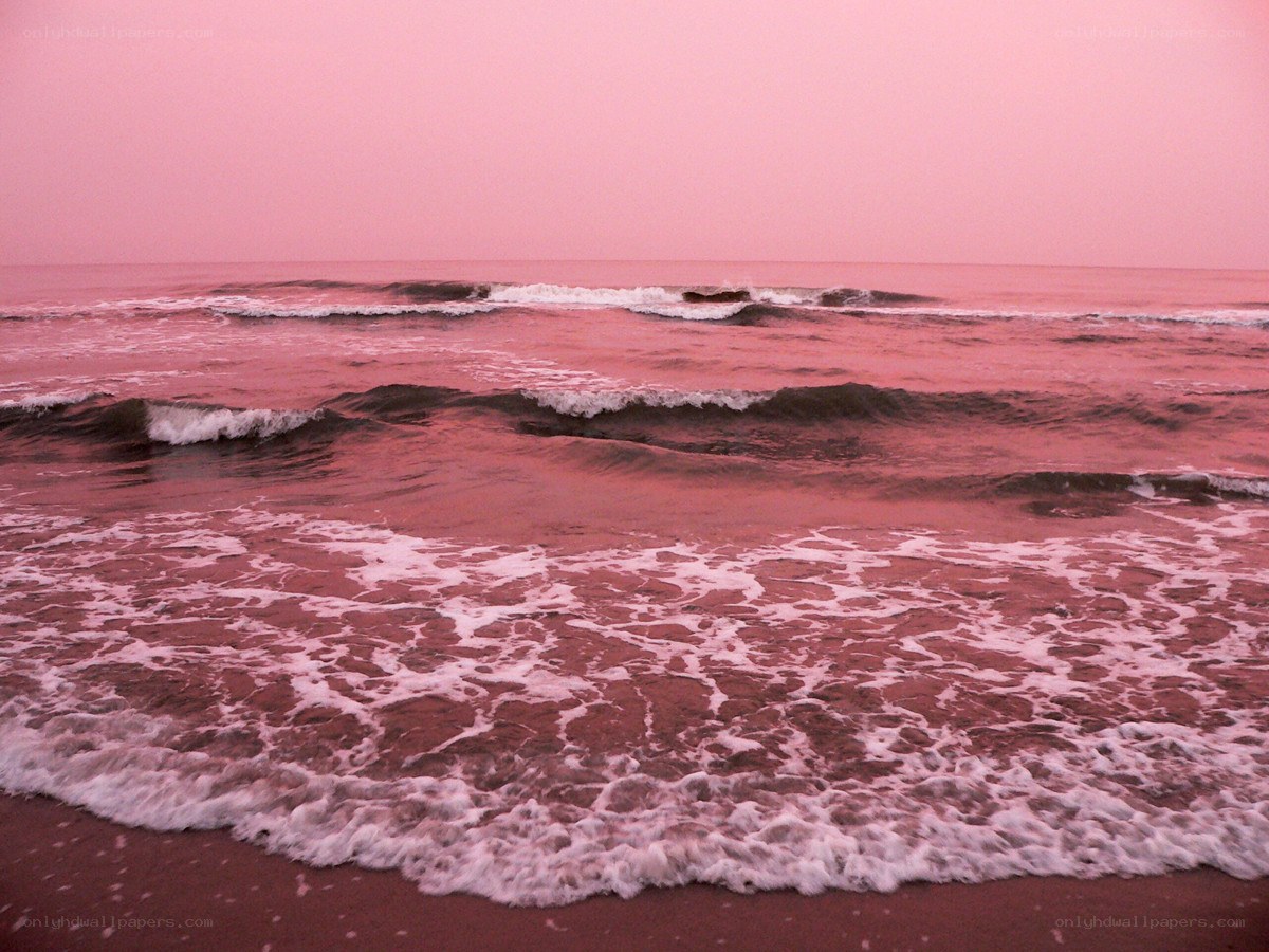 pink sunset at the beach