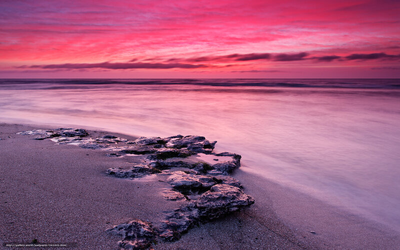Pink sunset at the beach