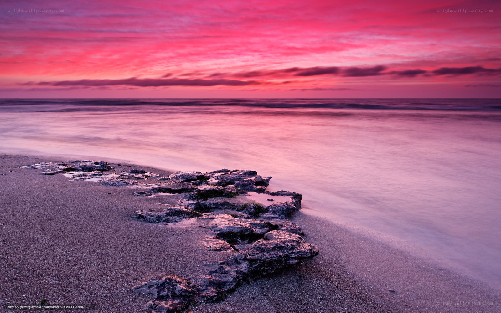 Pink sunset at the beach
