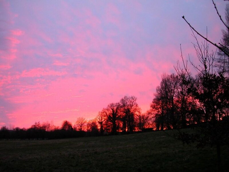 Pink sunset over a field