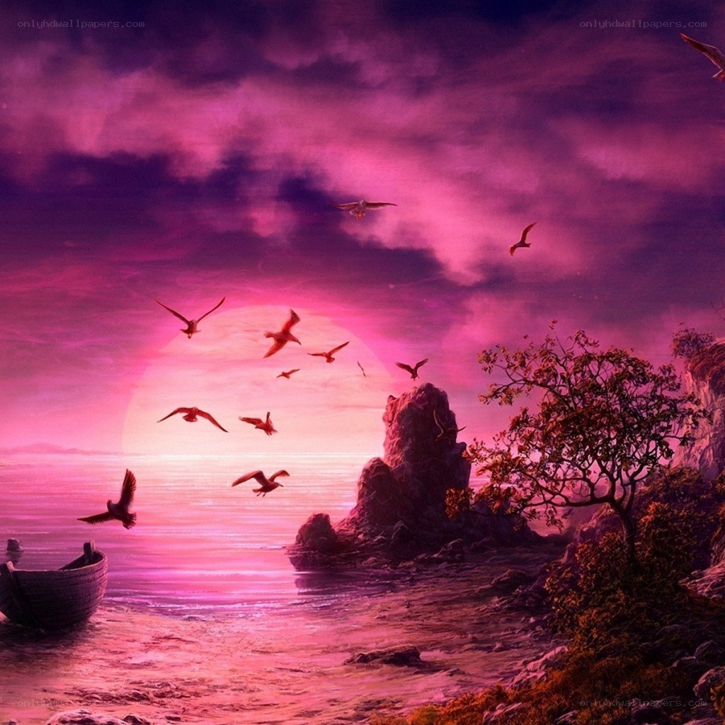 Pink sunset over coastal rocks