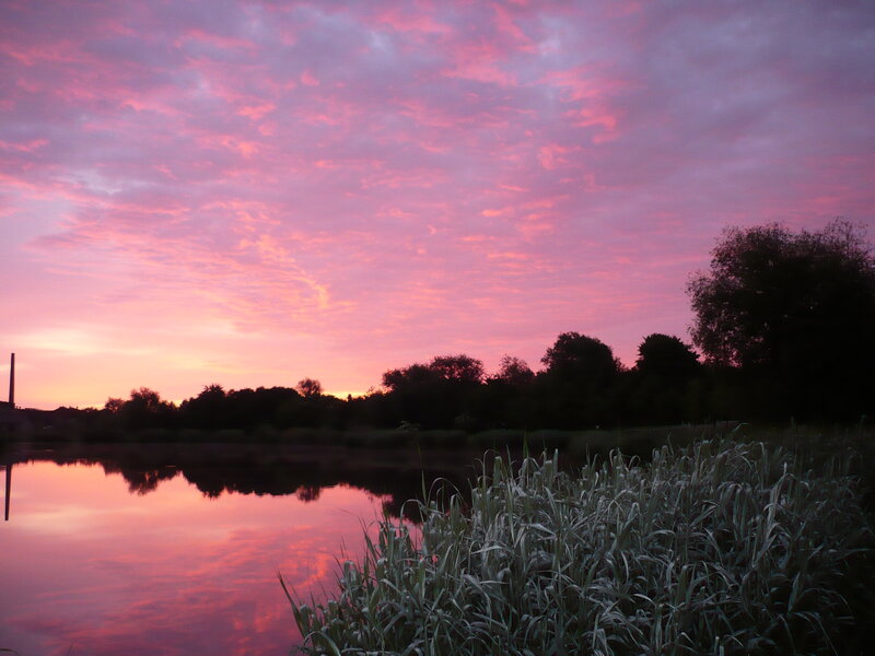 Pink Sunset over Lake — Serene