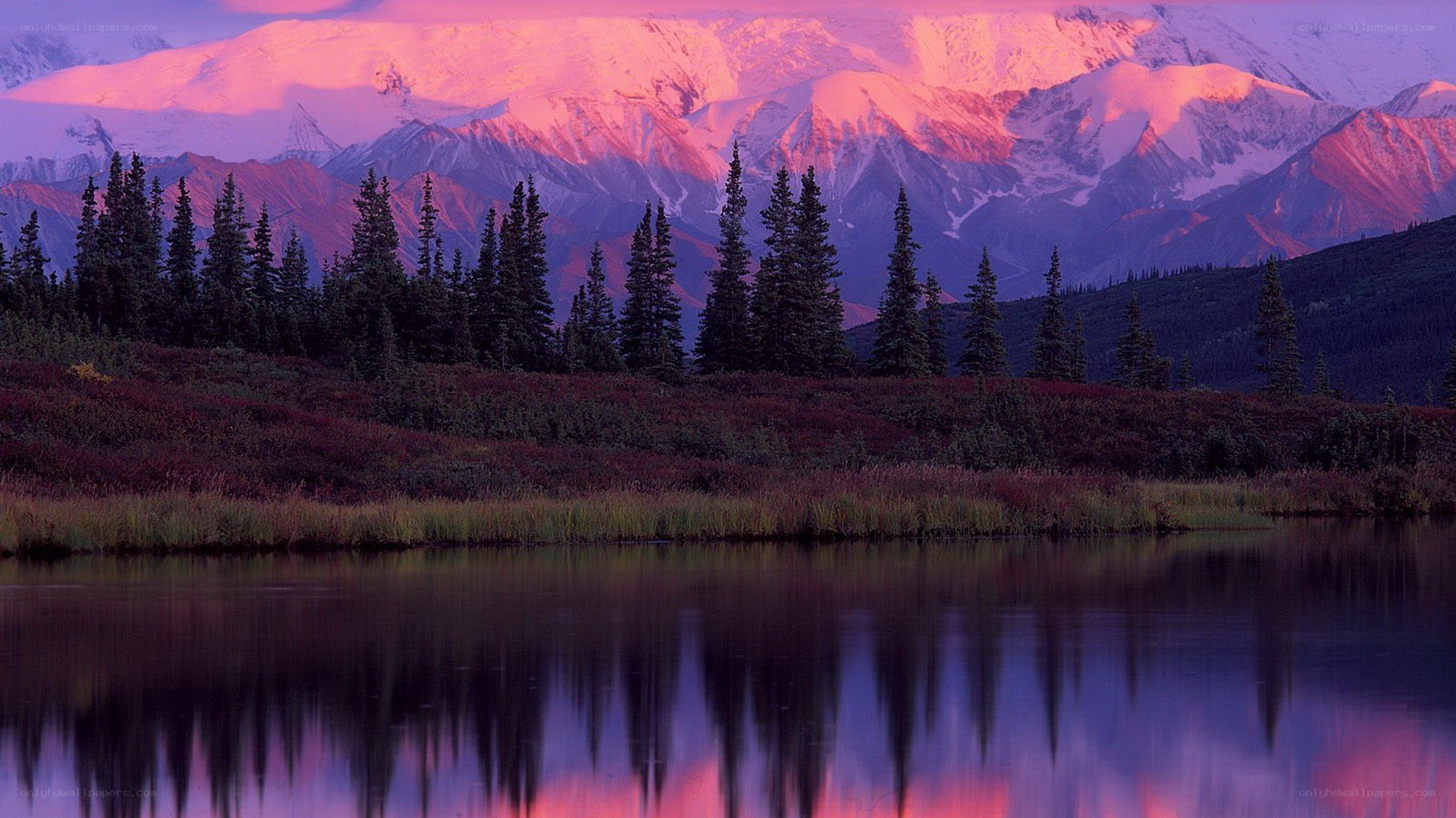 Pink sunset over snowy mountains