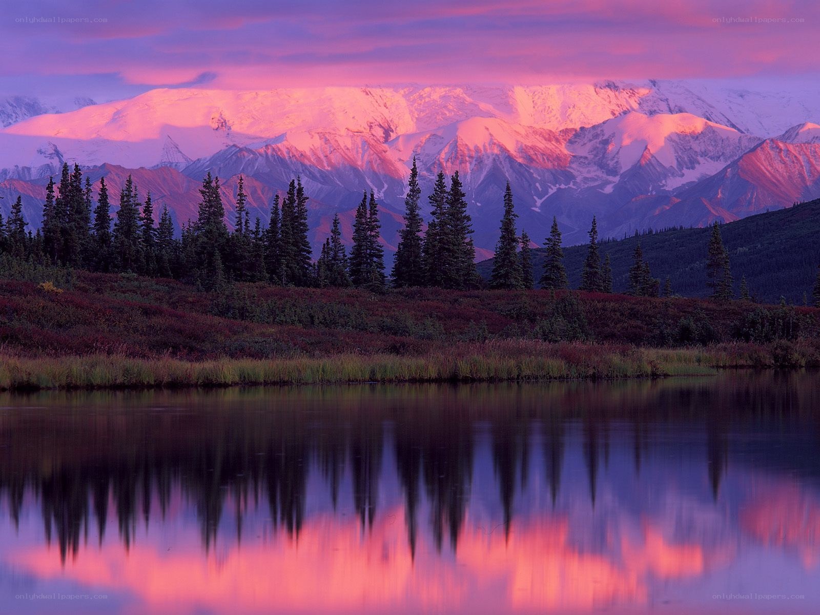 Pink sunset over snowy mountains