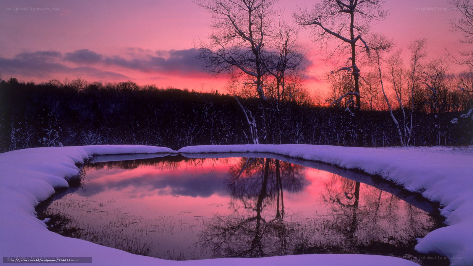 Pink sunset over snowy pond