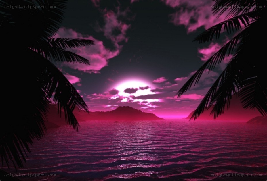 pink sunset over tropical sea