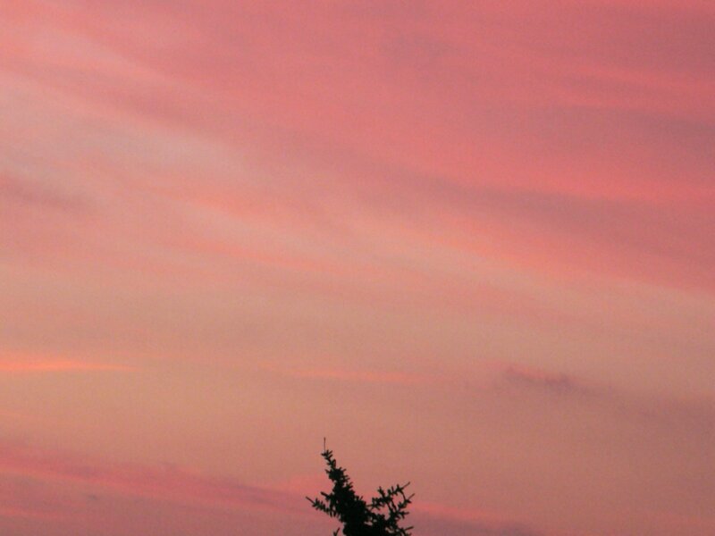 Pink sunset sky