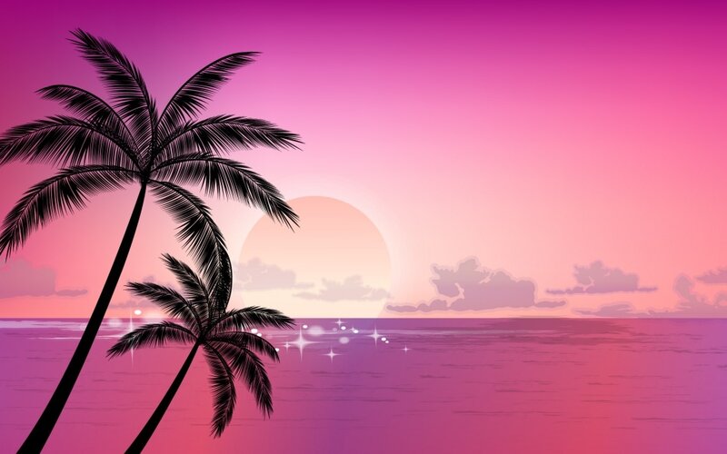 Pink sunset with palm trees