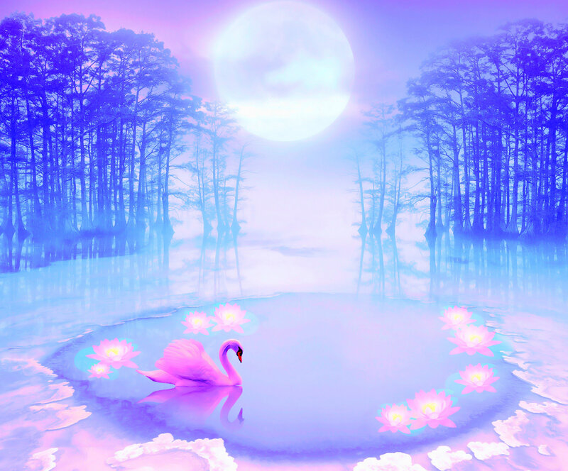 Pink Swan on Pond