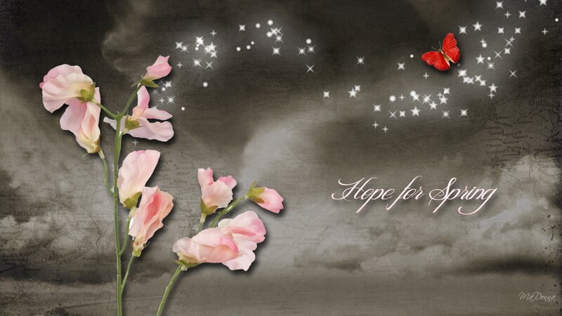 Pink Sweet Peas and Butterfly