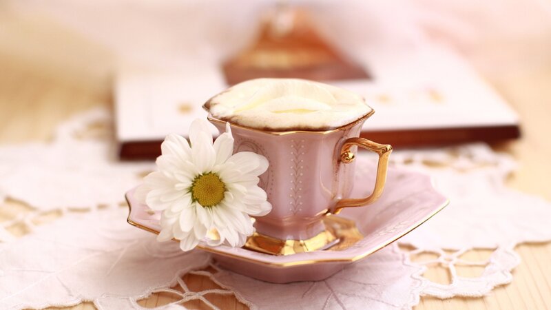 Pink Teacup with Daisy — Serene, Morning, Photograph, Saucer