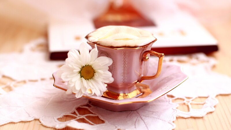 Pink Teacup with Daisy — Serene, Morning