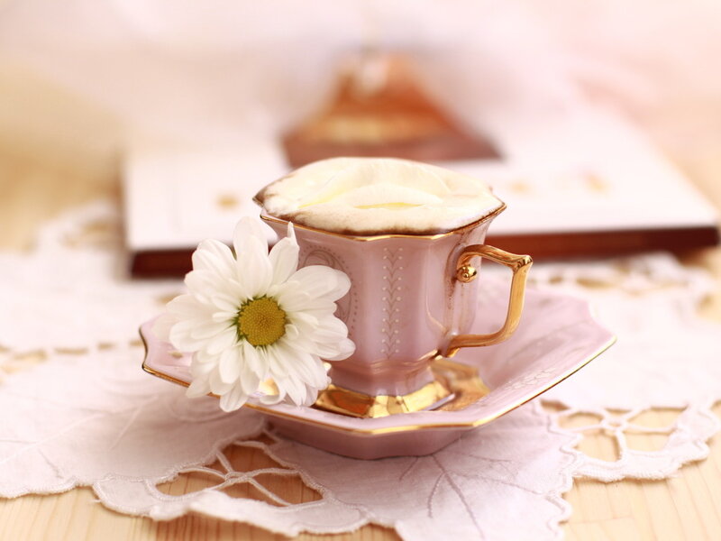 Pink Teacup with Daisy — Serene