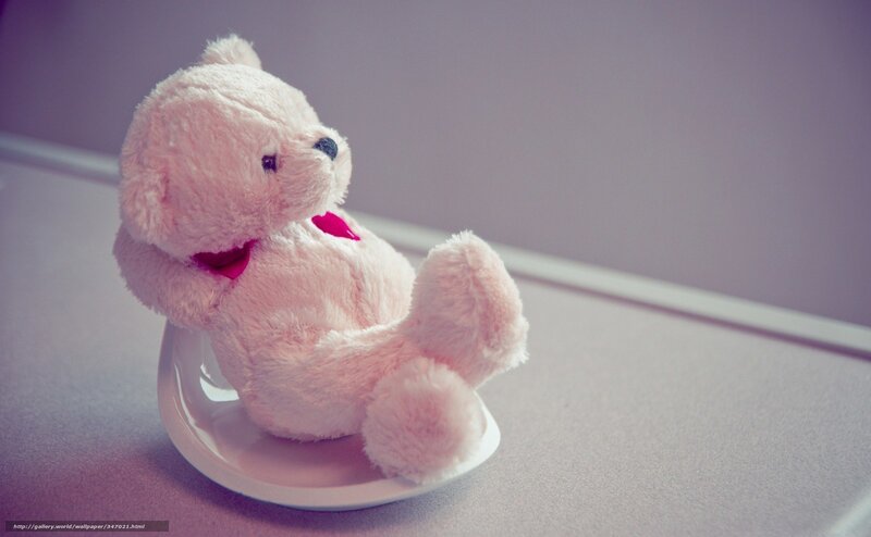 Pink Teddy Bear — Calm, Photograph, Plate