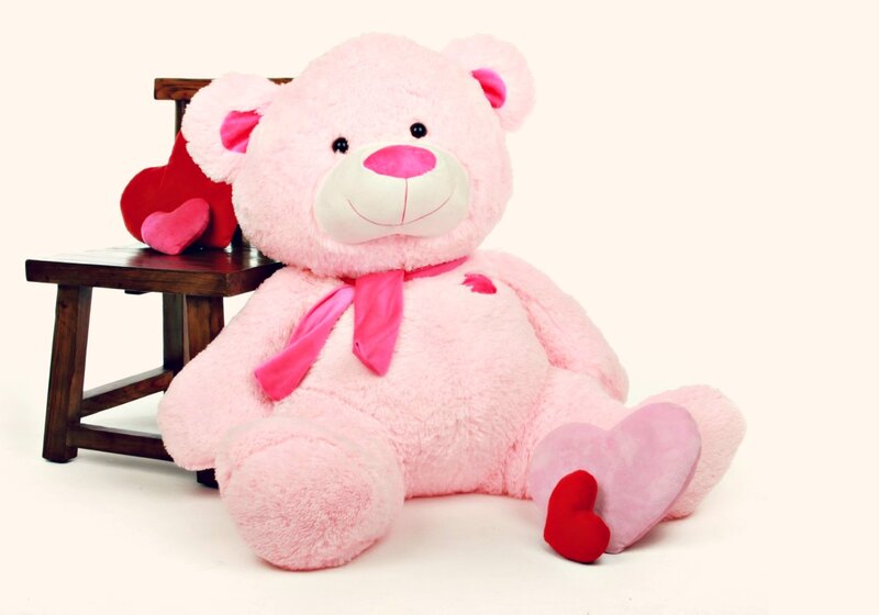 Pink Teddy Bear — Calm, Photograph