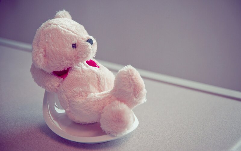 Pink Teddy Bear — Calm
