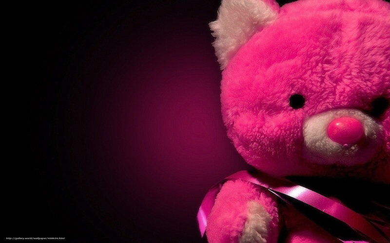 Pink Teddy Bear — Dramatic, Photograph, Ribbon