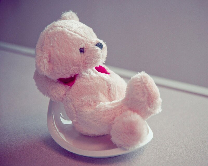 Pink teddy bear on a plate