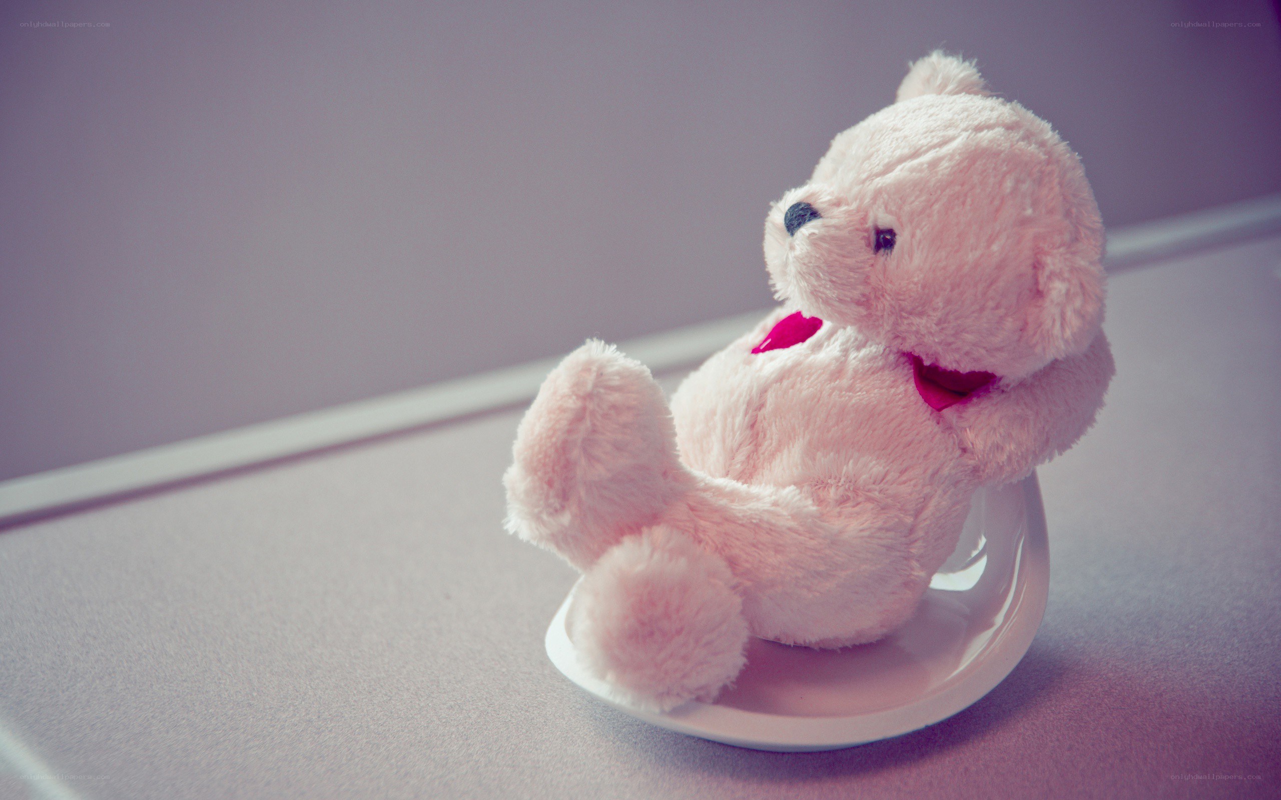 pink teddy bear on plate