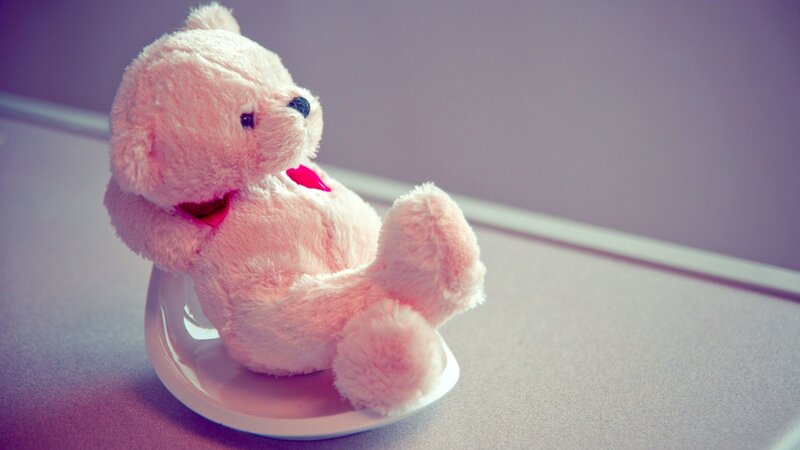 Pink Teddy Bear on Plate — Calm, Photograph