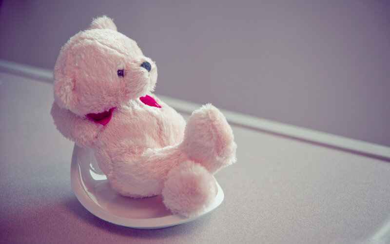 Pink Teddy Bear on Plate — Calm