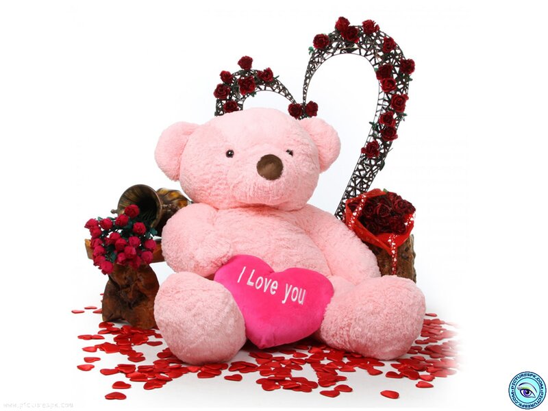 Pink Teddy Bear — Romantic