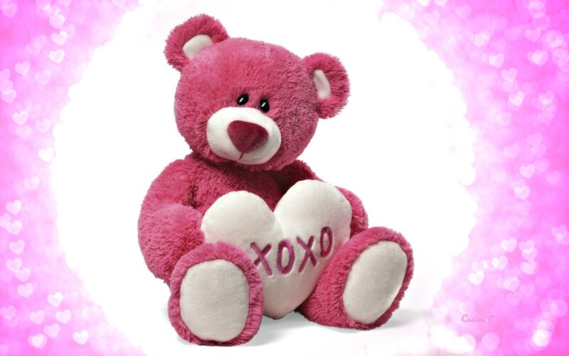 Pink Teddy Bear — Sweet, Photograph