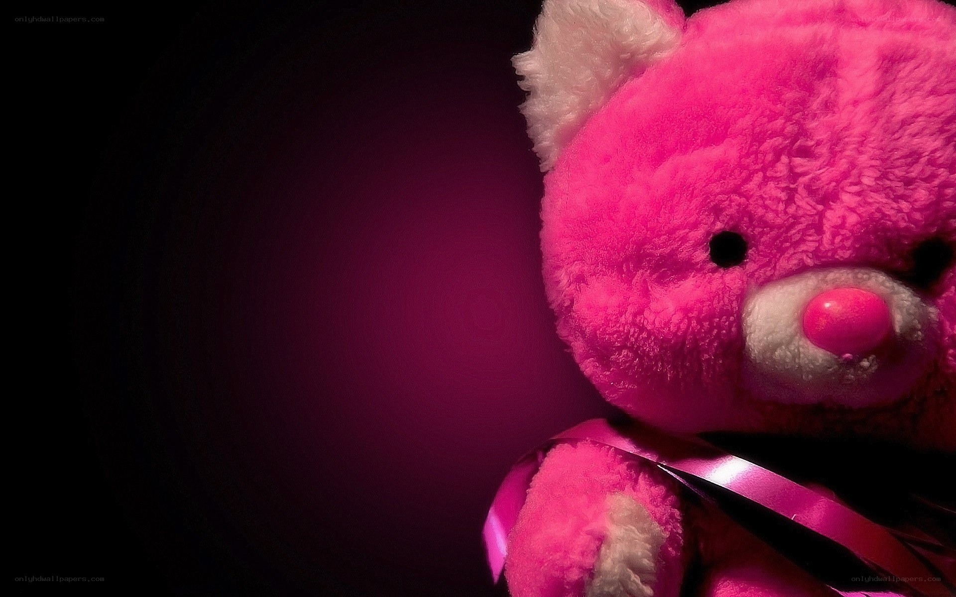 pink teddy bear with ribbon