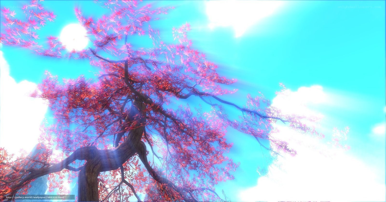 Pink tree under bright sky