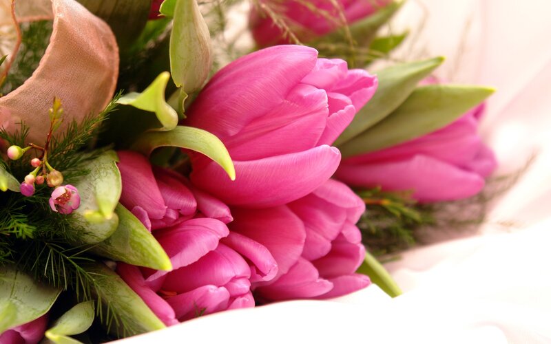Pink tulip bouquet