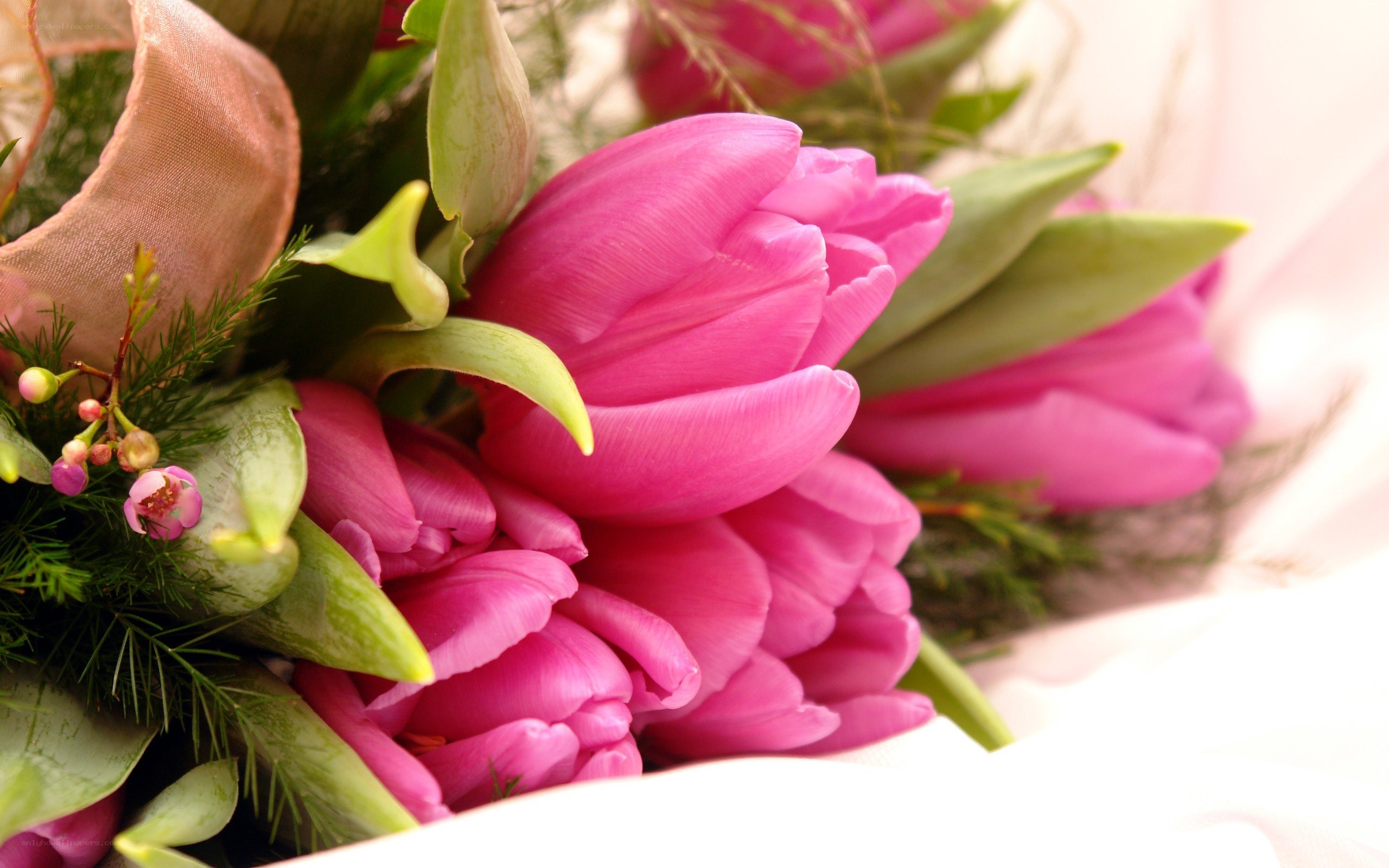 Pink tulip bouquet