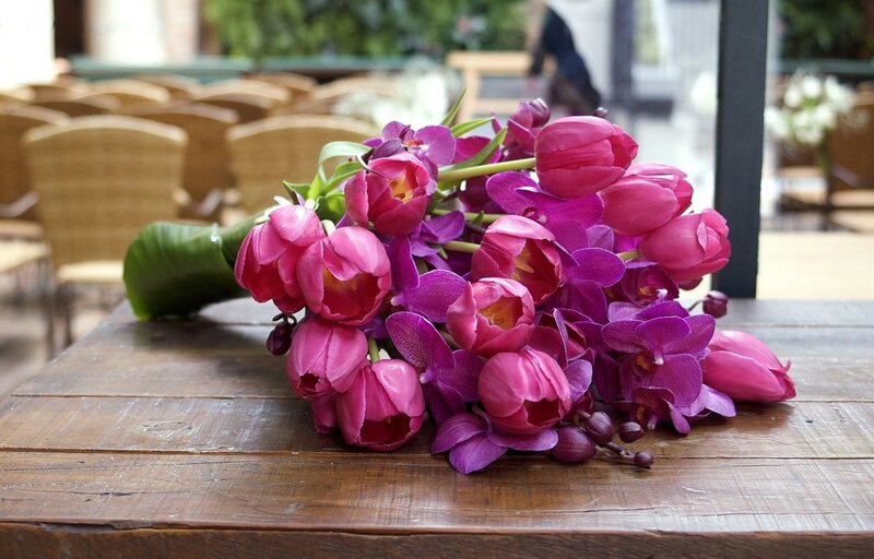 Pink Tulip Bouquet — Calm, Afternoon