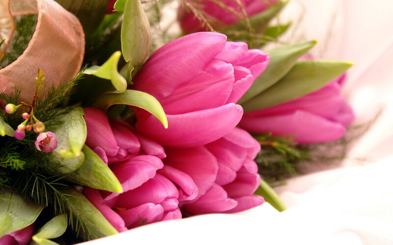 Pink Tulip Bouquet — Calm, Photograph, Green Leaves