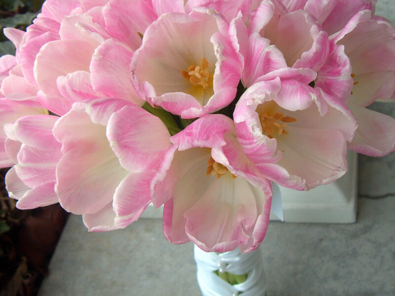 Pink Tulip Bouquet — Calm, Spring, Photograph, Vase
