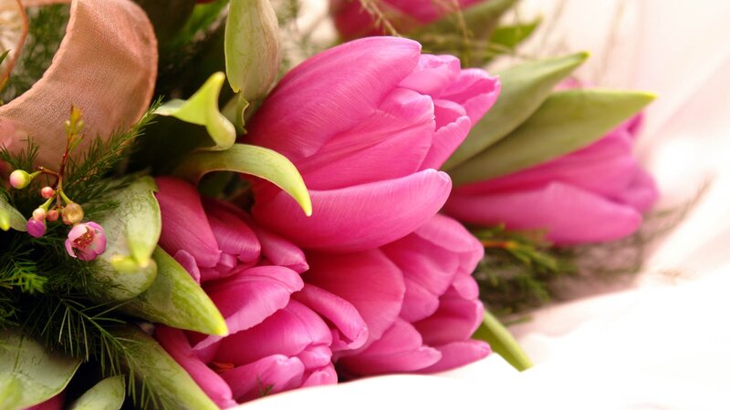 Pink tulip bouquet