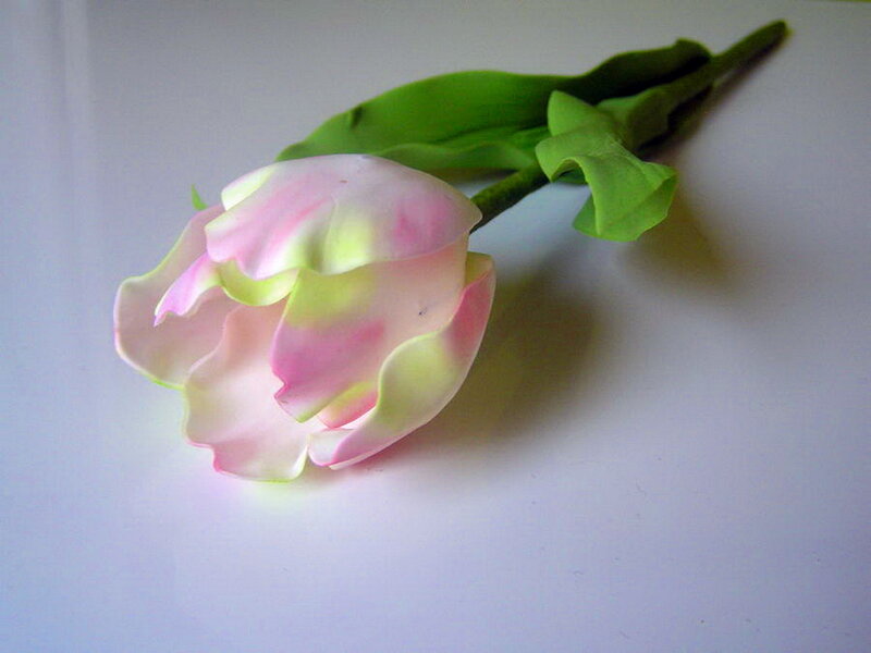 Pink Tulip Flower — Calm, Photograph, Green Leaves, Stem