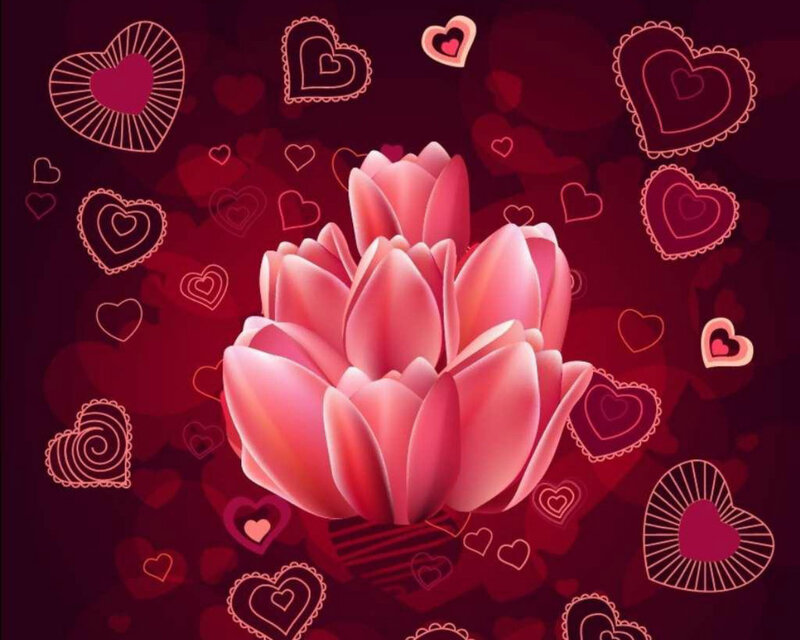 Pink Tulip Flower — Red