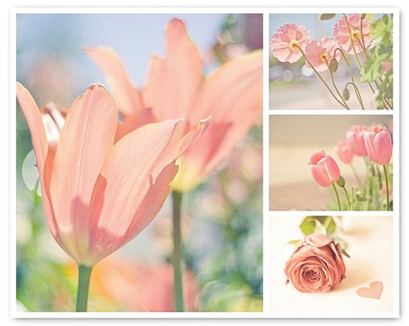 Pink Tulip in Focus — Serene