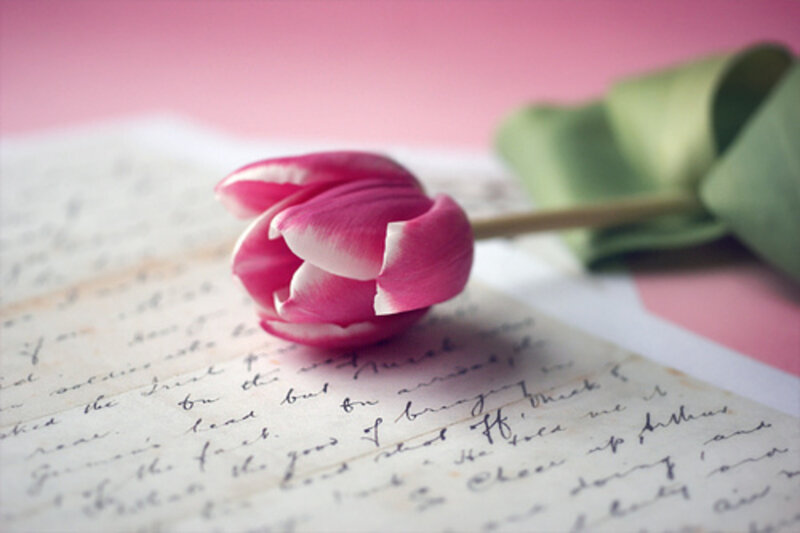 Pink Tulip on Letter